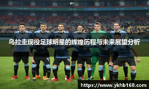 必一运动bsport体育